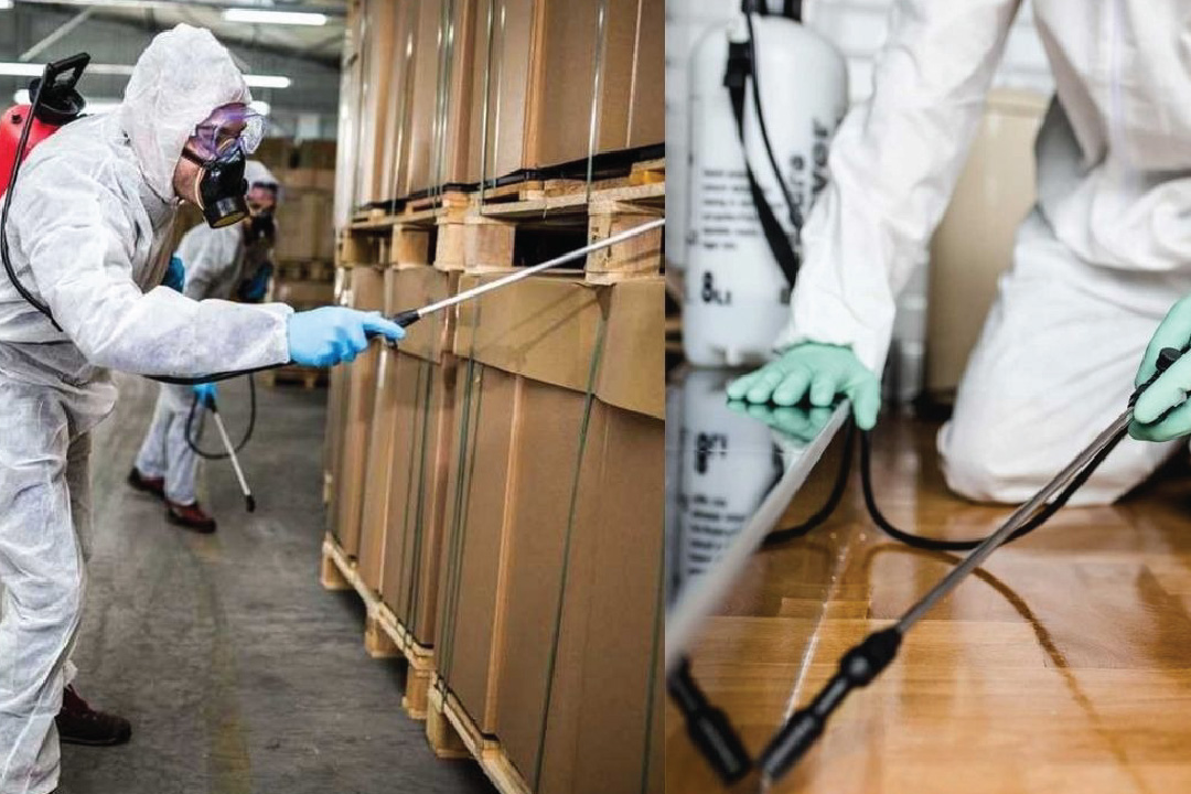 pest control cyberjaya