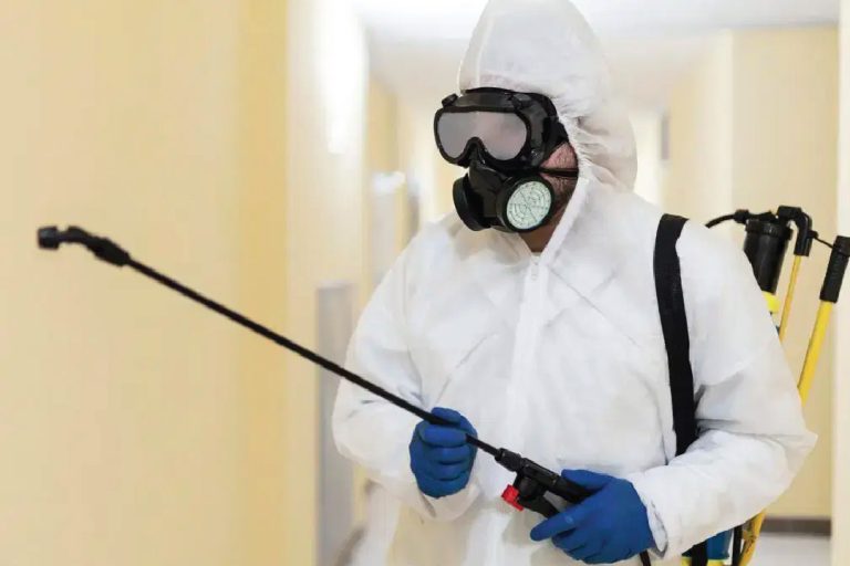 pest control wangsa maju