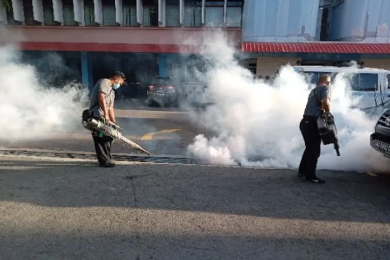 kota kinabalu pest control