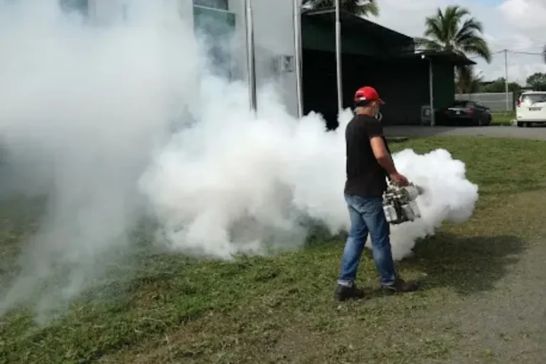 sibu pest control