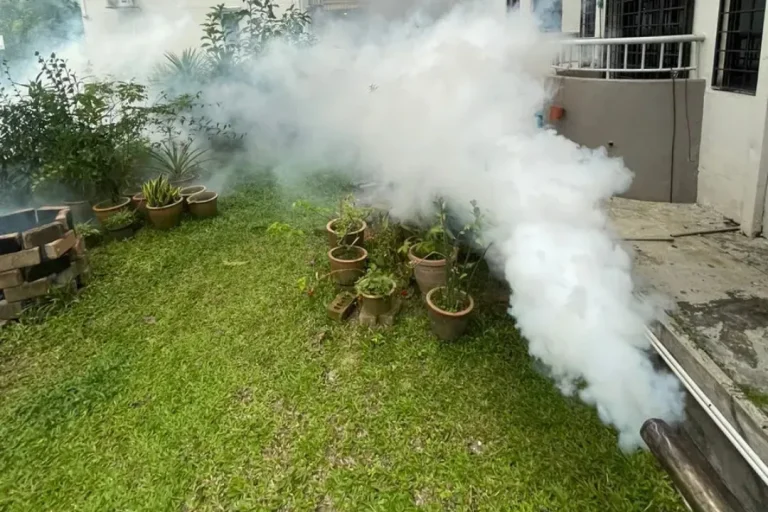 subang jaya pest control