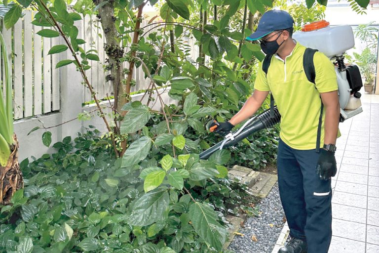 pest control miri